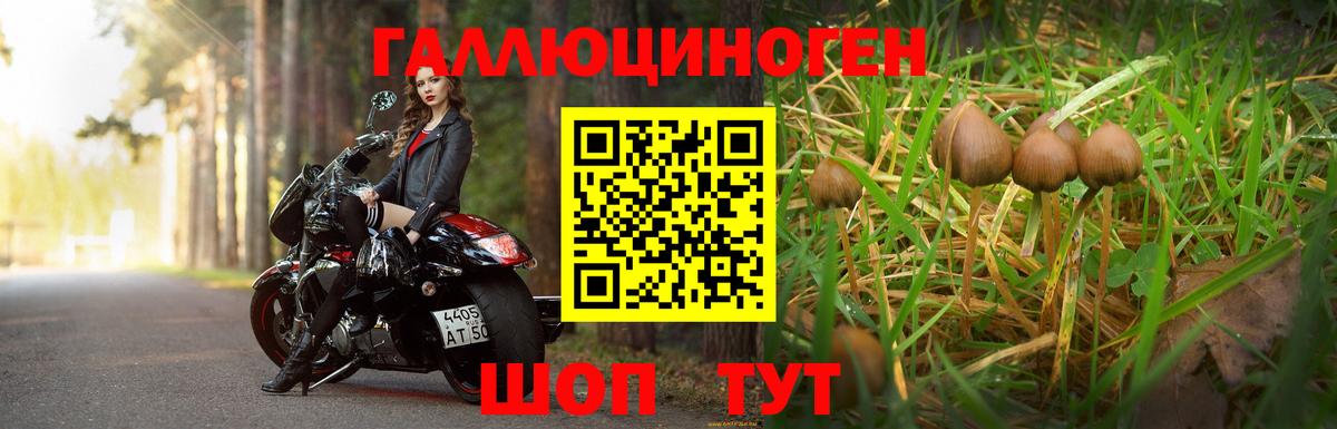 Вышний Волочёк  Галлюциногенные грибы мухоморы  Вход с VPN 